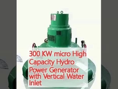 300 KW Mikro-Hochleistungs-Wasserkraft-Generator mit vertikaler Wasserzufuhr