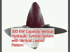 300 KW Kapazität vertikale Hydraulikturbinen-System mit vertikaler Anordnung