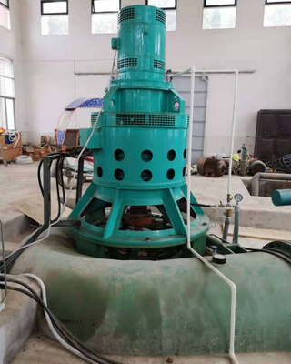 Schwanzloser Erregungs-Kaplan-Generator-Wasserturbine-Generator