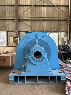 Erneuerbare Edelstahl-ISO-zertifizierte hydraulische Francis-Turbine für anpassbare Stromerzeugung