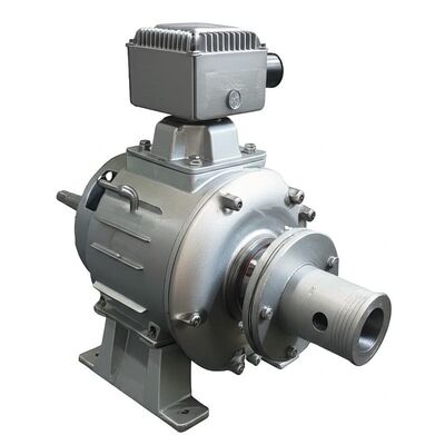 Mikro-Wasserkraftanlage für kleine Wasserkraftprojekte mit einer Kapazität von 50 kW bis 20 MW und einem Spannungsbereich von 400 V bis 6300 V