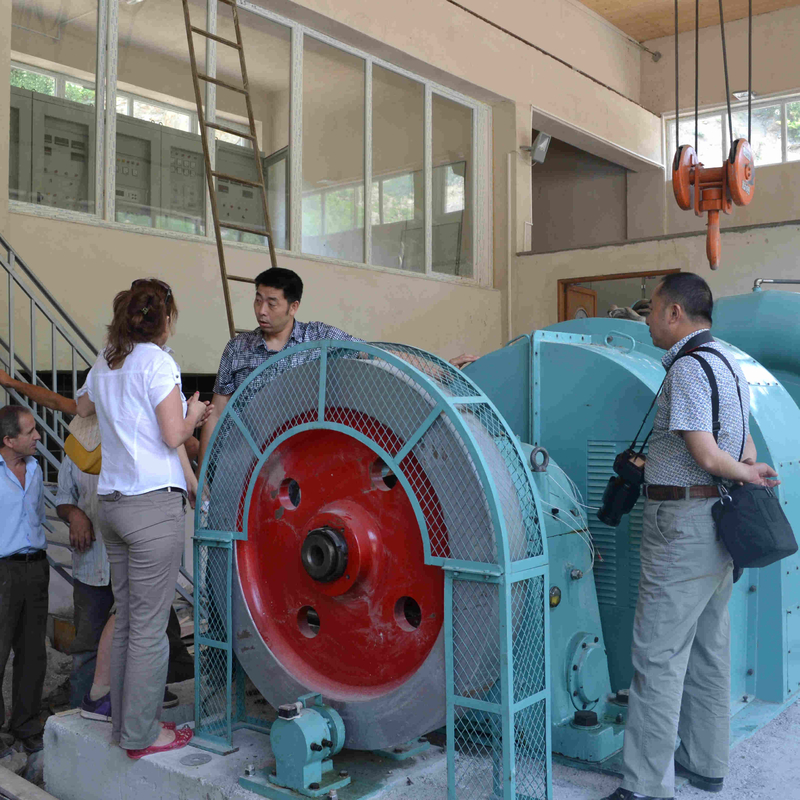 Micro Mini Kleines Wasser Francis Pelton Turgo Kaplan Hydro-Wasserkraftanlage Permanentmagnet Generator Alternator EPC